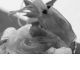 CUISINE