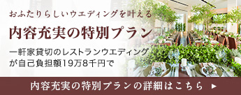 内容充実の特別プラン